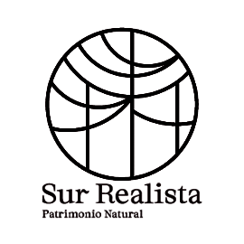 Logo Cliente Surealista